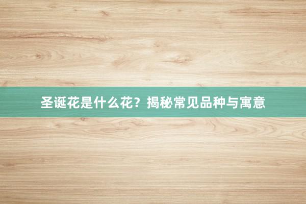 圣诞花是什么花？揭秘常见品种与寓意